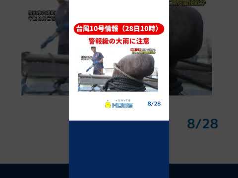  10月は庭で何をしましょうか？涼しい天候に備えるための必須の操作  庭園
