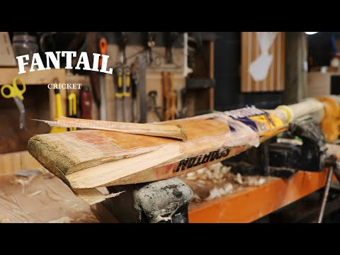 Transforming a moisture damaged bat - Cricket Bat Repair EP 15