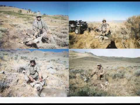 Hunter Services Self Guided Hunts for Elk, Deer & Moose. Hunting and Scouting in ID, WY & NV