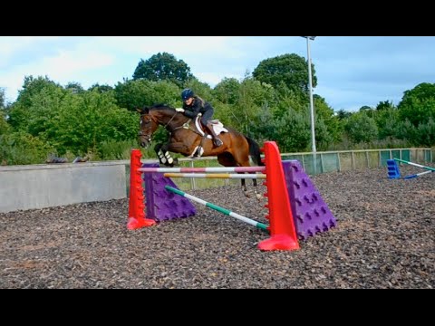 Flatwork/SJ session at home