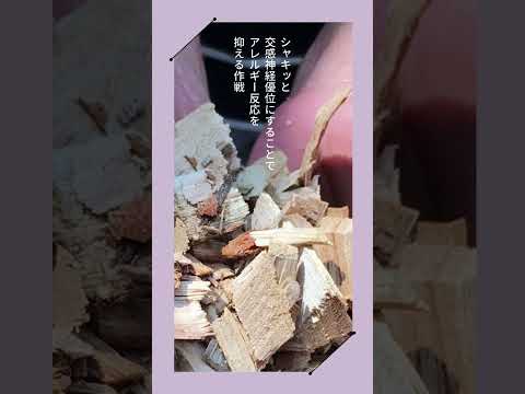 花粉アレルギーに苦しんでいますか？庭に植えてはいけないアレルギーの原因となる植物6選をご紹介します。  庭園