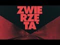 Zwierzęta Zwiastun PL