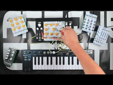 NEW Frequency Central Gnatophilidae Oxfordii (Multimode VCF with LFO/Distortion Module) for Eurorack Modular image 3