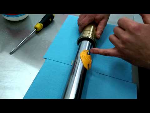 download lagu mp3 mp4 Dr Seal, download lagu Dr Seal gratis, unduh video klip Dr Seal