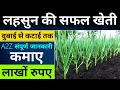 लहसुन की खेती Garlic Farming Full A2Z Video Lahsun Ki Kheti कमाये �
