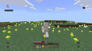 マイクラ