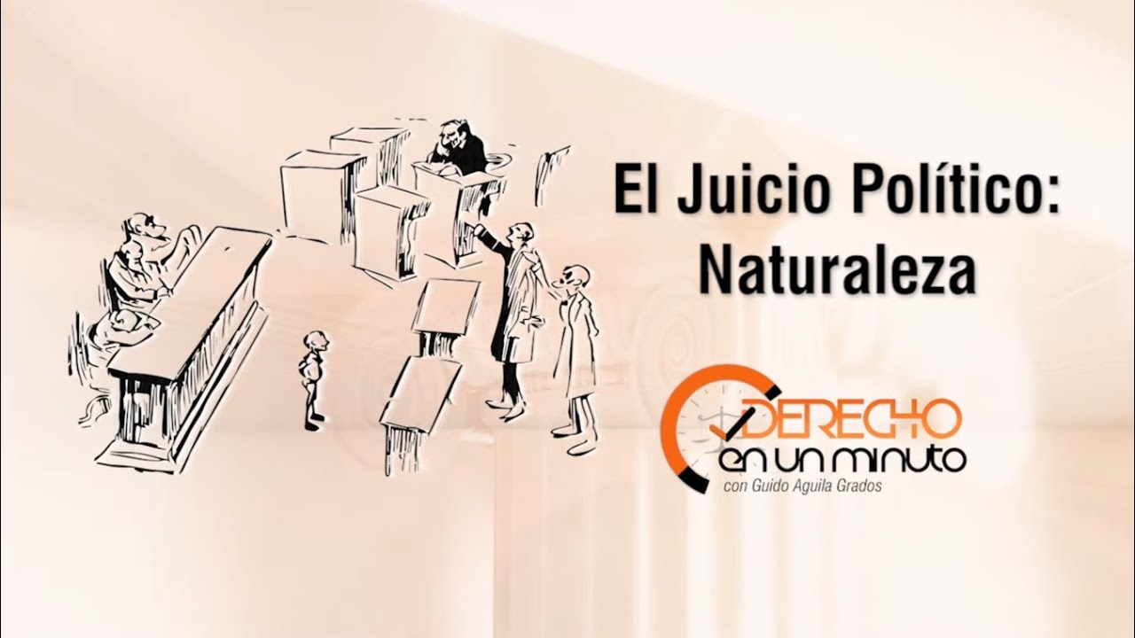 El Juicio Político: Naturaleza - DE1M # 341