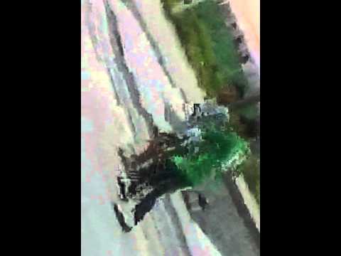 Pelea en la calle (alan vs omar)