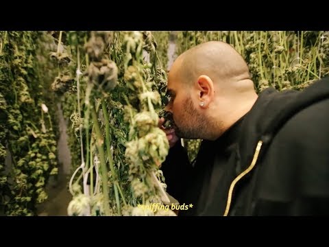 Bigger Business: Seattle