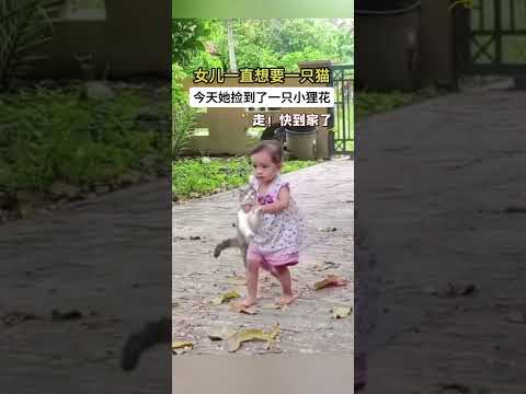 小猫：“这就是被收养的感觉吗？” #毛孩子可以治愈各种不快乐 #可爱到爆炸 #画一个故事