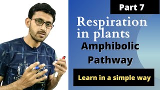 Respiration In Plants - Amphibolic Pathway In hindi | Class 11