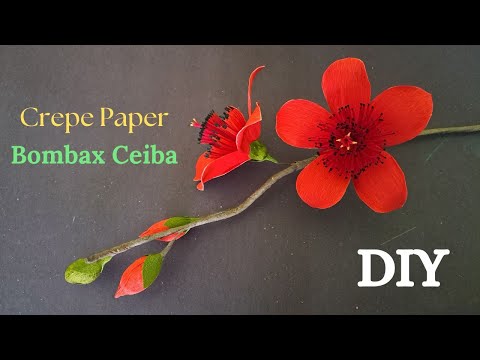 Bombax Ceiba  l How To Make Crepe Paper Flower #PoushCraftingStudio