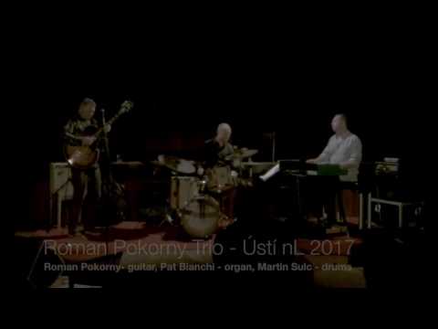 Roman Pokorny Trio with Pat Bianchi