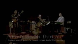 Roman Pokorny Trio with Pat Bianchi