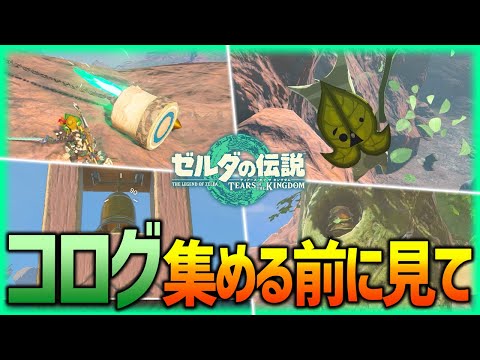 【ティアキン】コログ集めの前に見て!!本格的に探す前に知っておくべき事まとめ！【ティアーズオブザキングダム】