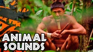 Download lagu Tribal Sounds mp3 Download lagu Tribal Sounds mp3