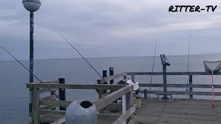 Рыбалка на море в германий