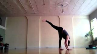 What I Did For Love, Me First and the Gimme Gimmes