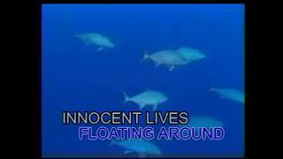 AVSEQ11 Ocean Of Love - Michael Learns To Rock