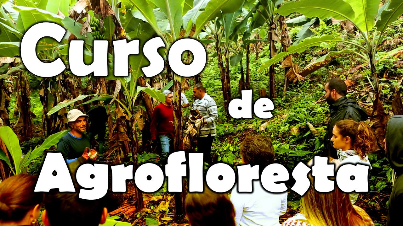 O que cursos de agrofloresta podem mudar na vida das pessoas?