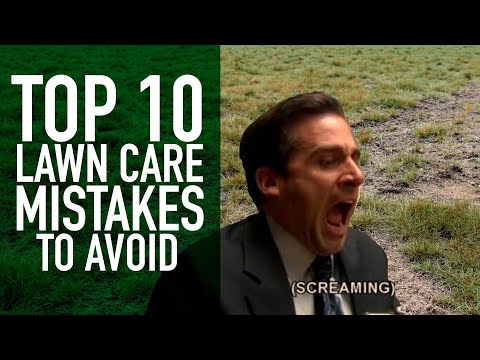 Top 10 Lawn Care Mistakes to Avoid