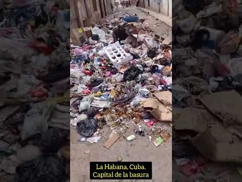 #Cuba: ¿Qué encontró este "combatiente" en la basura?. La Habana,  Capital de la basura.