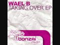 Wael B - Taking Over(Original Mix) 