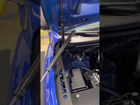 Carbon Fiber hood struts! WAY MO’ BETTA!  2015-2023 WRX | Subaru | Noble