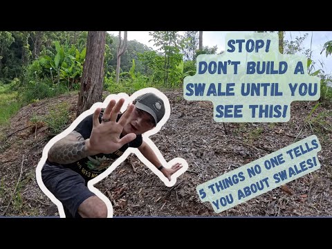 5 Things You Didn’t Know About Swales! (Permaculture Secrets Revealed)