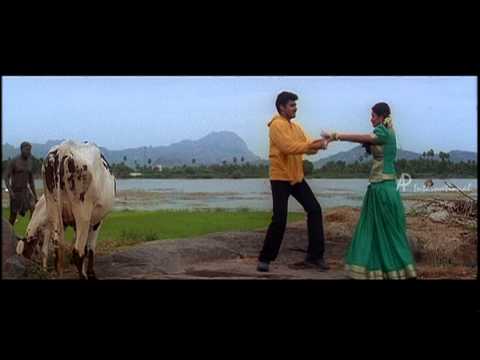 Punnagai Poove - Venus Venus Pennae Song
