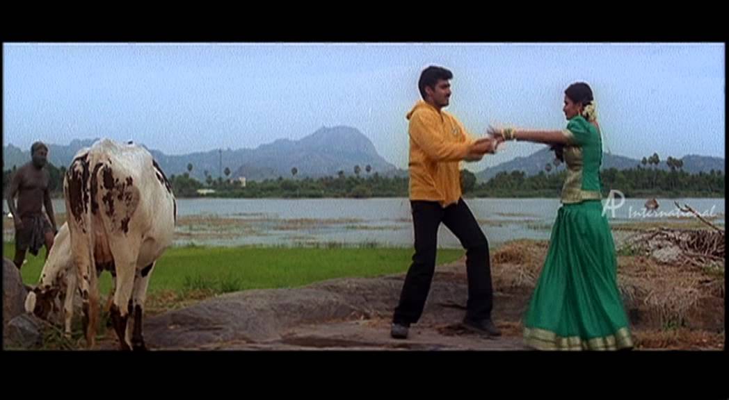 Venus Venus Pennae Song Lyrics | Punnagai Poove | Devan, Harini