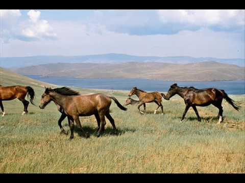 Video del terreno en Chiapa de Corzo