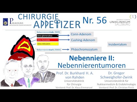 Adrenal Gland II Adrenal Tumors Cushing Conn Pheo Incidentaloma SURGERY APPetizer No. 56