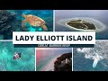Lady Elliott Island Great Barrier Reef was voted #2 BEST SNORKEL BEACH in the world by Lonely Planet