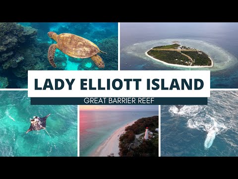 Lady Elliott Island Great Barrier Reef was voted #2 BEST SNORKEL BEACH in the world by Lonely Planet