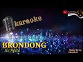 BRONDONG KARAOKE Iis Apita