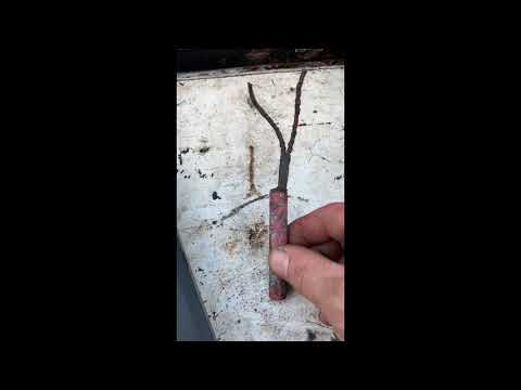 8.3 Cummins No Start