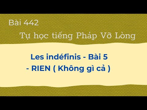 Bài 442 -Tự học tiếng Pháp -Tính từ e đại từ bất định -Les indéfinis - Bài 5 - RIEN ( Không gì cả )