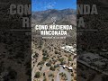 Tour Virtual