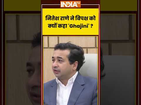 Nitesh Rane Statement | नितेश राणे ने विपक्ष को क्यों कहा 'Ghajini' ?