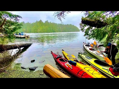 Kayaking in Tofino | Guided kayak tour of Meares island old growth forest