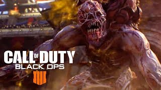Call of Duty Black Ops 4 15
