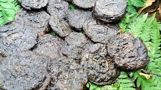 Great find! Pile of war German badges. WW2. Live!