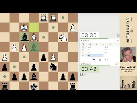 NAuči od majstora 511. - SKANDINAVKA  - CARO - CAN