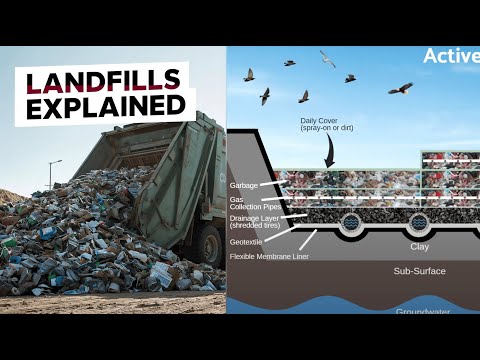 Where Does Your Trash Really Go? Inside Landfills Explained
