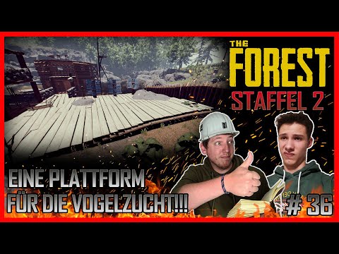 💥EINE PLATTFORM FÜR DIE VOGELZUCHT!!! #36 feat. Cynpex / 🌲THE FOREST STAFFEL 2 LETSPLAY💥