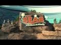 The Seas With Nemo And Friends Ride Through At Epcot In Walt Disney World