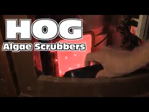 Promo commercial for Santa Monica Filtration UASⓇ filters