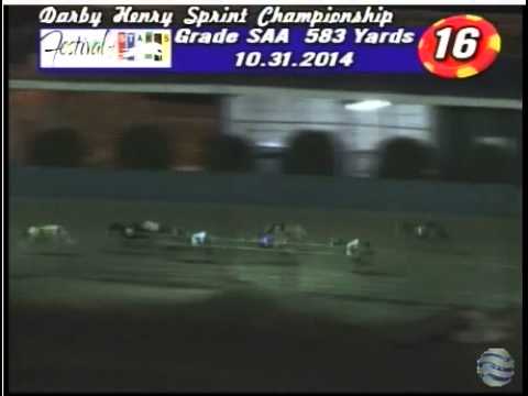 U Too Pure Silk Captures the 2014 Darby Henry $150,000 Sprint Championship