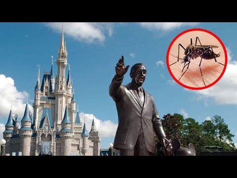 ディズニーワールドではどのようにして蚊をすべて駆除しているのでしょうか？そして彼らから何を学べるか